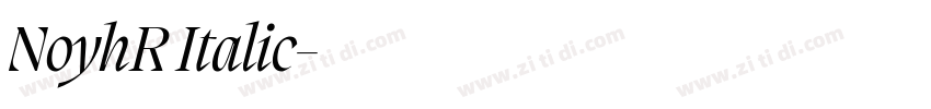 NoyhR Italic字体转换 NoyhR Italic字体转换